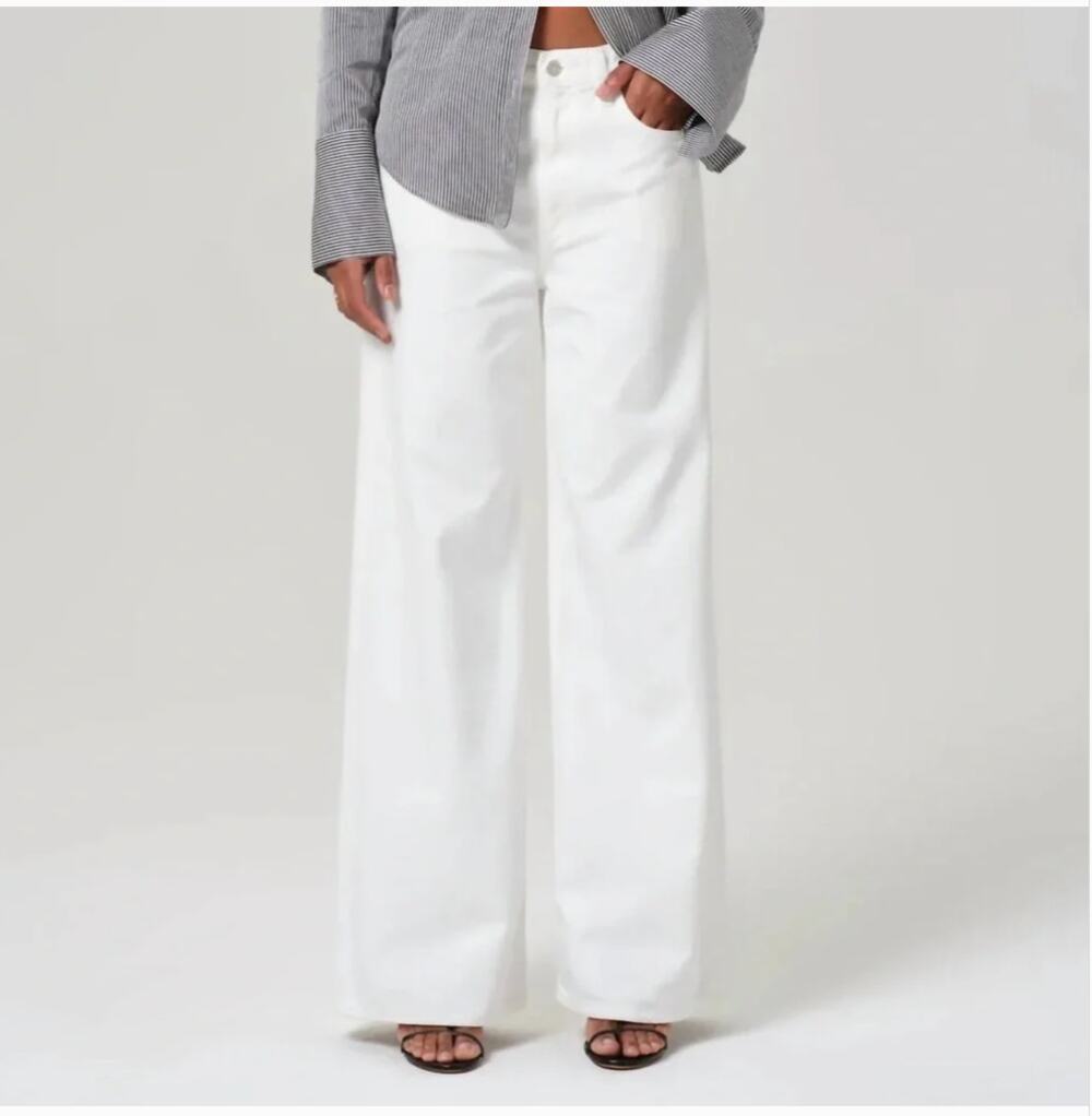 CITIZENS of HUMANITY Paloma Baggy Jeans 34